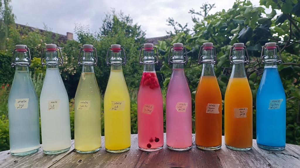Fermented Beverages
