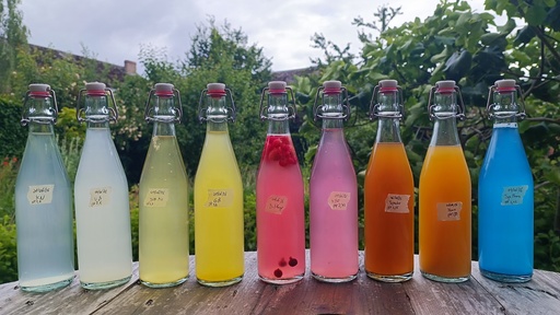 Fermented Beverages